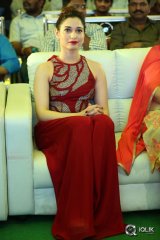 Bengal Tiger Movie Triple Platinum Disc Function